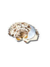 Load image into Gallery viewer, Seashell Compact Mirror