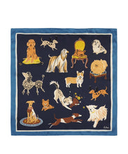 Load image into Gallery viewer, Doggie Daycare Scarf
